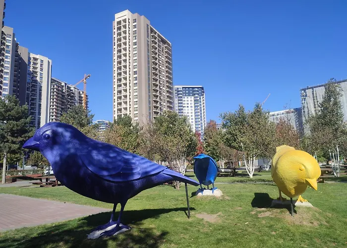 Blue Sparrow, City Center Studio